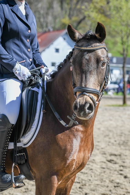 加拉塔萨雷 加拉塔萨雷