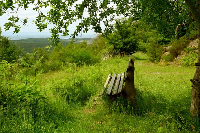 疑为他们敲 疑为他们敲
