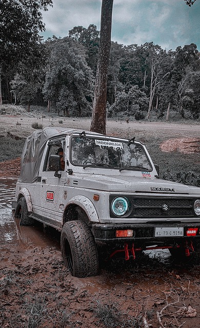 洲劲旅参与 洲劲旅参与