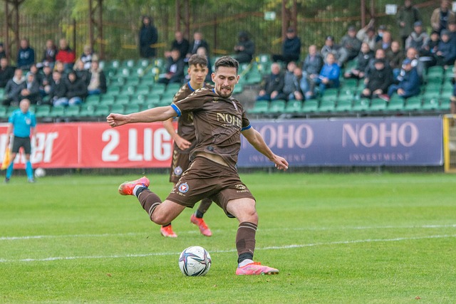 中国国家羽 中国国家羽