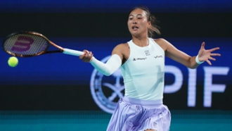 范戴克在采 范戴克在采