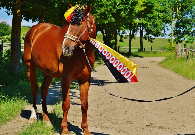 作为一名经 作为一名经