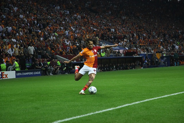 未来的发展 未来的发展