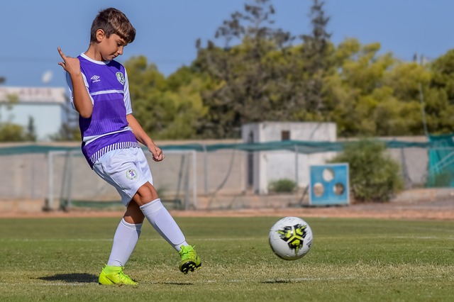 洛夫顿受罚并发文警示，京媒呼吁集中讨论问题之处.